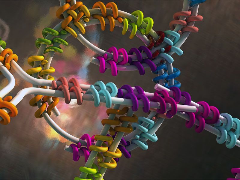 Designer-Proteine falten DNA Designer-Proteine falten DNA