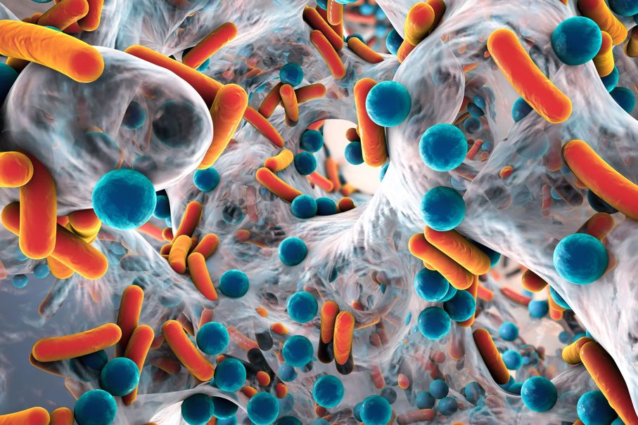 Biofilm Biofilm