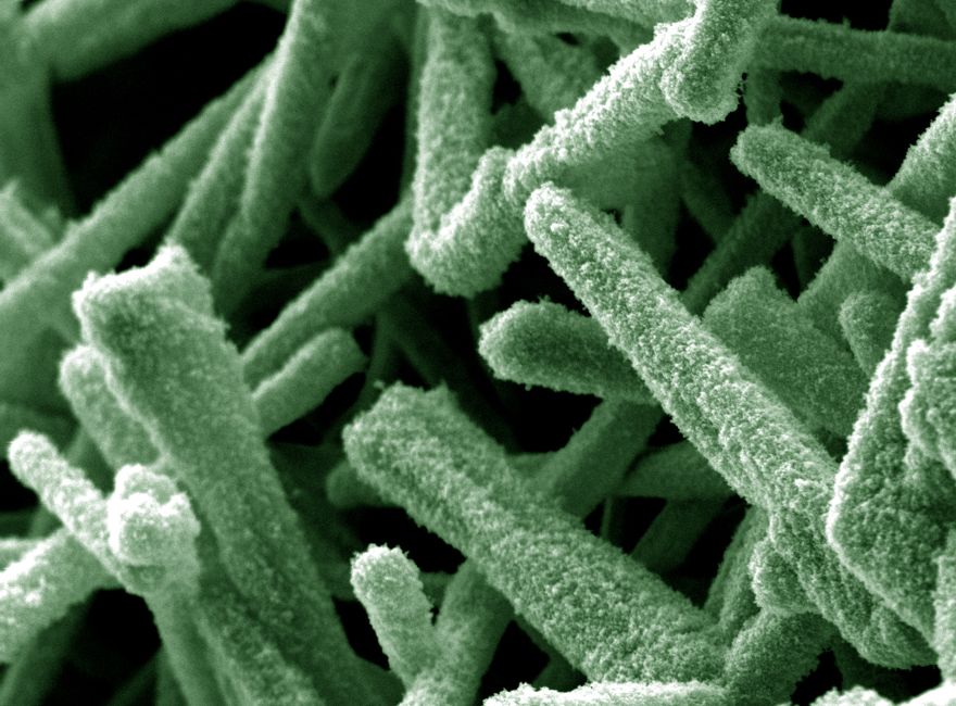 Nano-Hybridmaterial mit faszinierender Struktur Nano-Hybridmaterial mit faszinierender Struktur