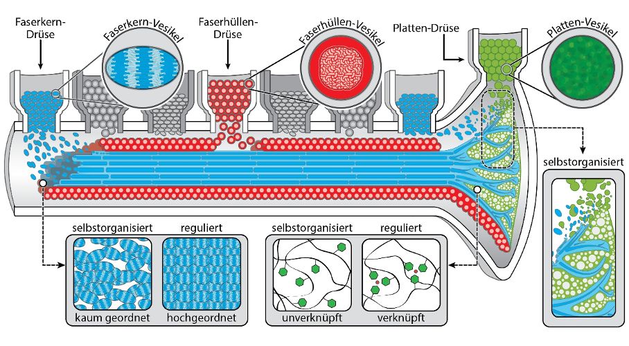 Grüne Chemieproduktion am Meeresgrund Grüne Chemieproduktion am Meeresgrund