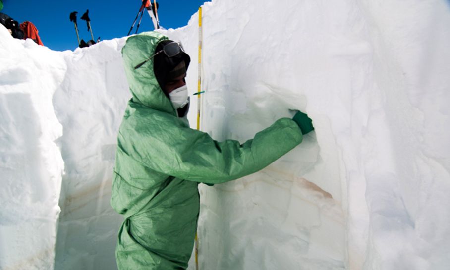 Mikroorganismen aus der Sahara fanden die Forscher im Schnee und Eis der Alpen