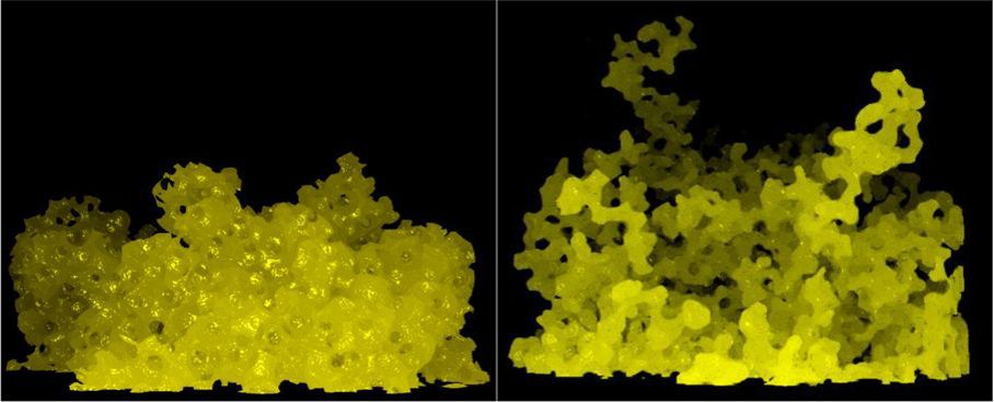 Mikrotomographische Aufnahmen, wie Wasser von unten in ölgefüllte Kugelpackungen eindringt Mikrotomographische Aufnahmen, wie Wasser von unten in ölgefüllte Kugelpackungen eindringt