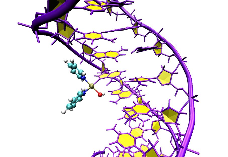 DNA-Doppelhelix DNA-Doppelhelix