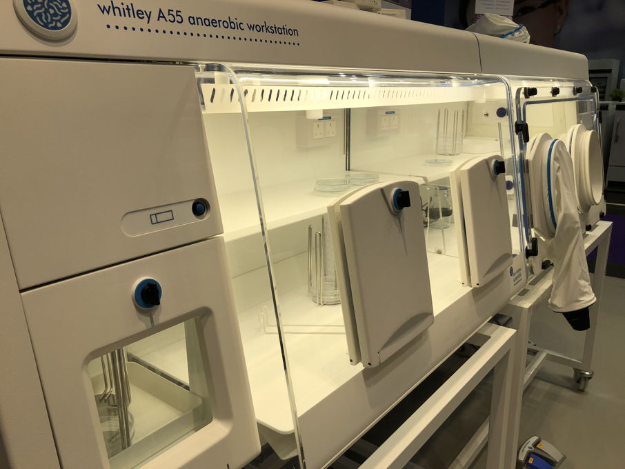 Anaerobe Workstation