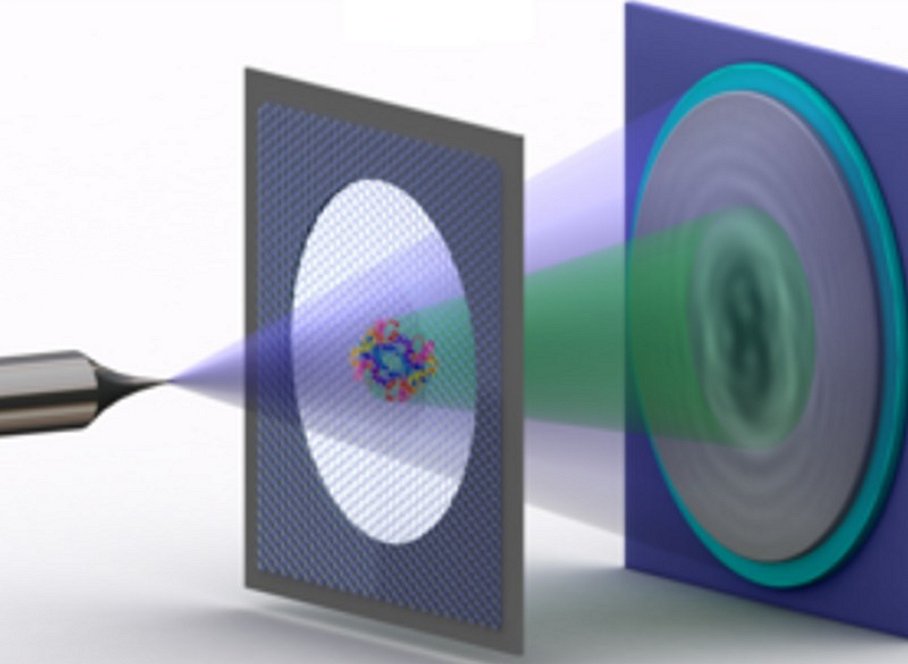 Elektronen-Holografie einzelner Proteine Elektronen-Holografie einzelner Proteine