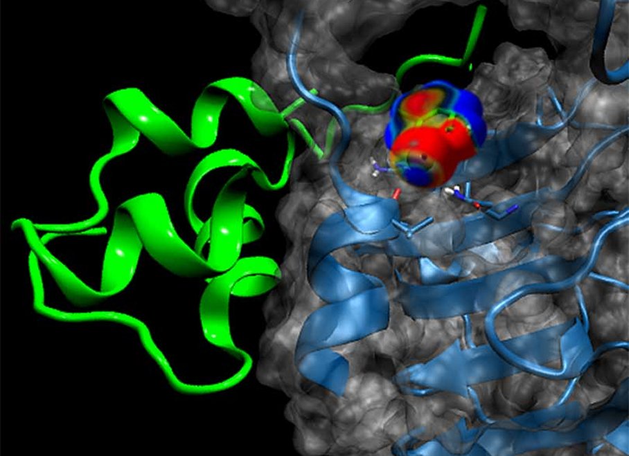 Insulinanalogon Insulinanalogon
