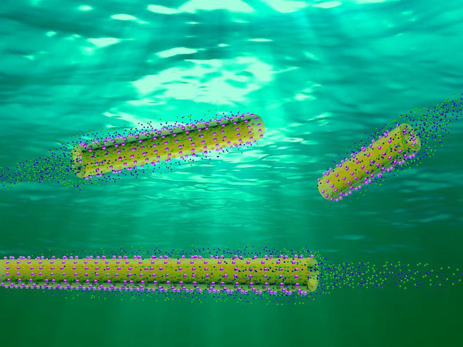 Nanoroboter Nanoroboter