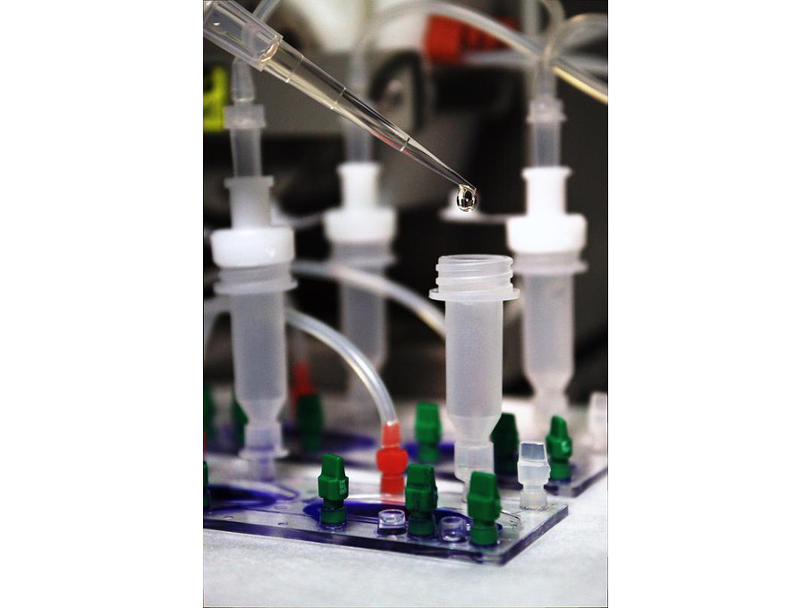 Organ-on-a-chip